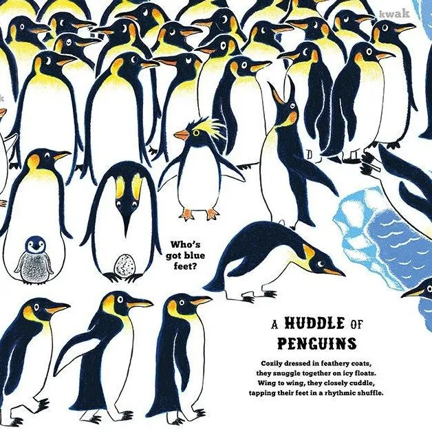 A Pandemonium of Parrots and Other Animals - Hardcover