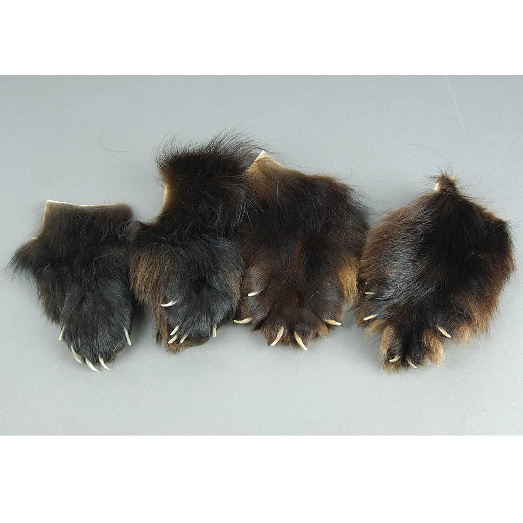 Wolverine Paws with Claws