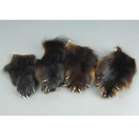Wolverine Paws with Claws